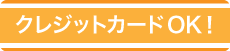 クレジットカード決済OK